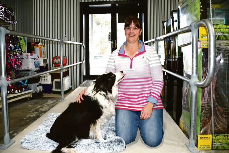 Keeping your pets comfy this winter post image