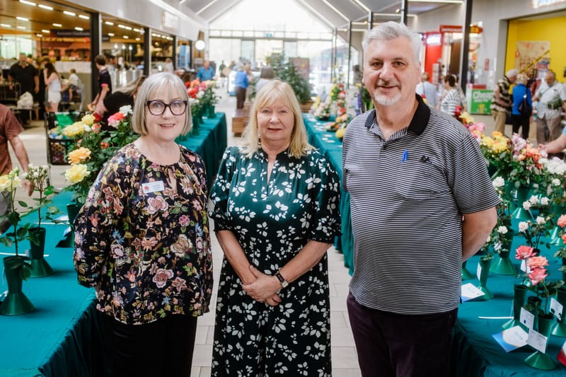 Ba-rose-a's blooming delight post image