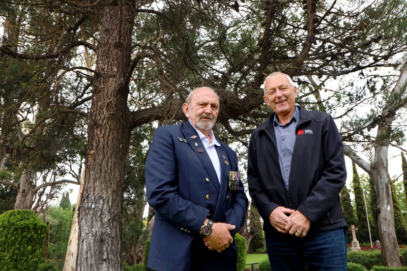 Lone Pine destined for Tanunda post image