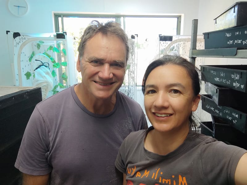 Insects may help to 'close the loop' after trial post image