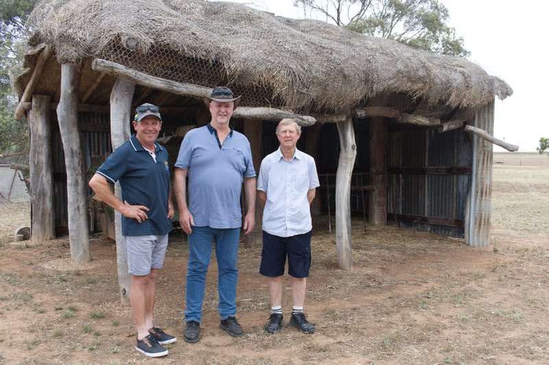 The reason for the season at Moculta post image