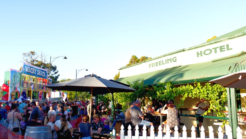 Freeling ready for Christmas fun on Friday post image